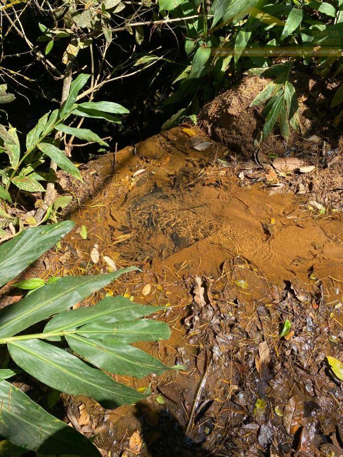 WhatsApp Image 2025-09-12 at 11.55.52.jpeg